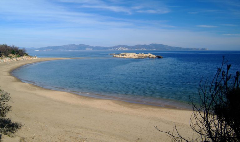 Photo of Roses Bay